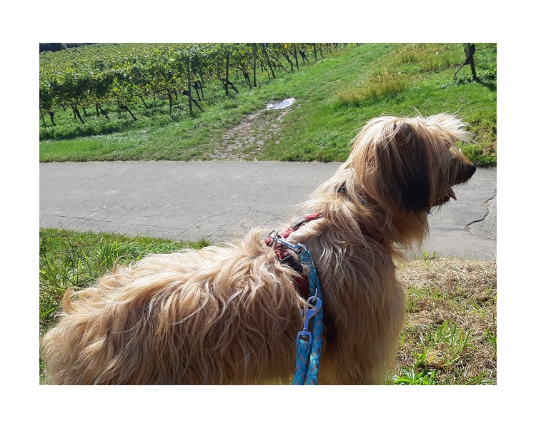 Im Herbst 2019 (5)